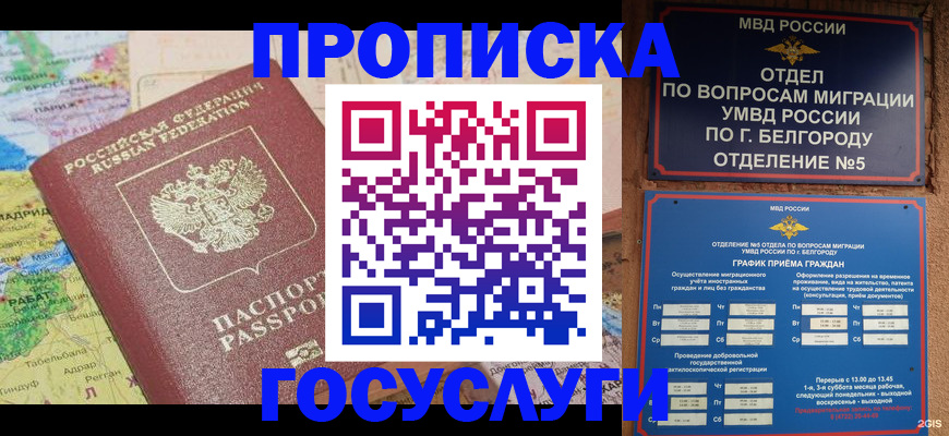 прописка регистрация в Ржеве
